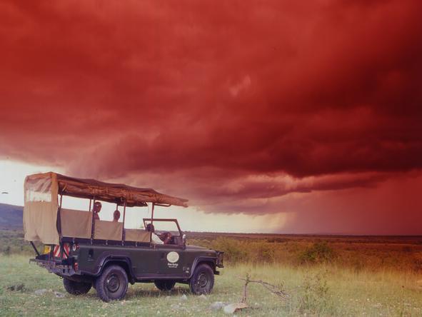 Siana Springs Tented Camp - Evening Game Drive 
